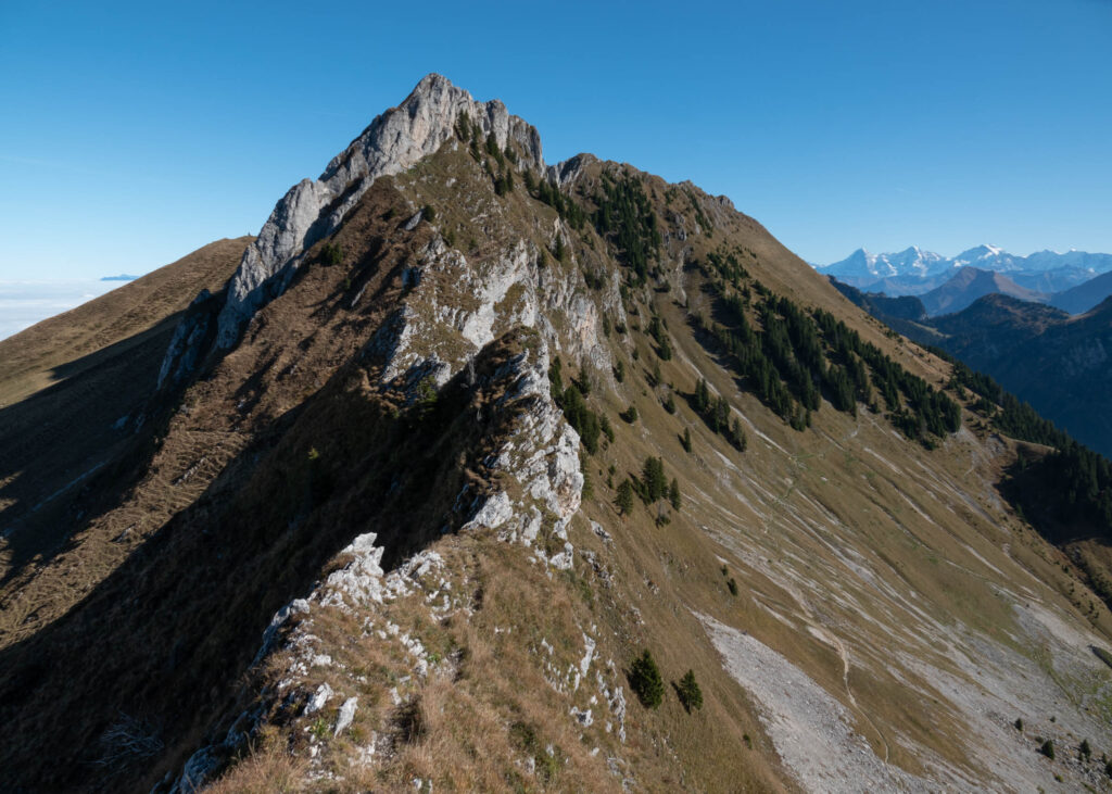 AT Die Ch von der Seite. Rechts im Hintergrund die Berner Alpen , links das Nebenmeer